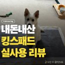 패드야 | 킹스패드 배변패드 내돈내산 후기, 중형견 실사용 리얼 리뷰