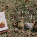 텍사스주유소 이미지