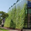 탐라커텐 이미지