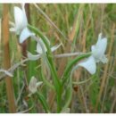 옥풍환경 이미지