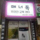 매너독반려견교육센터 이미지