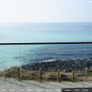 지금애월 이미지