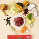 댕댕이푸드 이미지