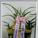 환희축산 이미지