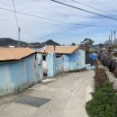 하화낭만 이미지