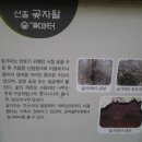 곶자왈거문오름