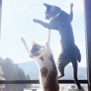 무학봉길 이미지