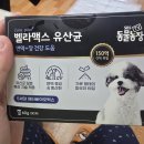 SBS동영상 | 강아지 유산균 SBS TV 동물농장 영양제 반려견 영양제 벨라맥스 재급여 후기입니다