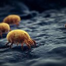 월평새뜸로 이미지