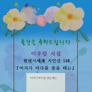 이우림시집 현대시세계 시인선148 『여자가 바다를 찾을 때는』 출간 이미지