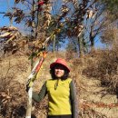 형제목장 이미지