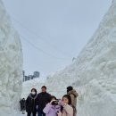 교회학교 대관령눈꽃축제 행사 참석~ 이미지