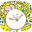허당로-1 이미지