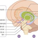 모이PLUS