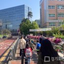 광교마을로 이미지