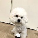 프롬오니