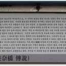 미내다리 이미지