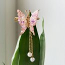 나비헤어 이미지