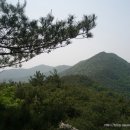 어쭈구리