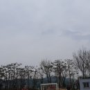 대구매동초등학교 이미지