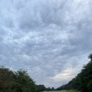 서노하우스 | 경북 골프장 후기 상주 블루원cc 야간 셀프 노캐디 라운딩