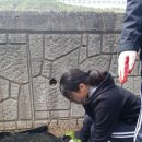 흥성농장 이미지