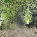 카페라인 이미지