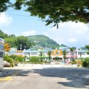 설천면 월곡 이미지