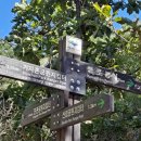 산정메디칼 이미지