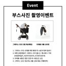 모던펫