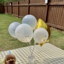 바우하우스 105 이미지