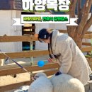 나송학목장 네이버블로그