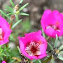 보훈행정사 이미지