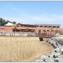 땅끝황토나라테마촌 이미지