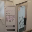 꽃눈스테이