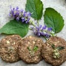 아니스 히솝-Anise Hyssop 이미지