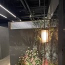 부케독산