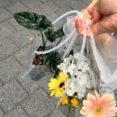 이제 내맘대로 일기