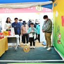 로또사과 이미지