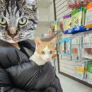 해피올동물병원 이미지