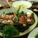 삼수장어 이미지