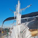 영림농장 이미지