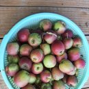 만정농장 이미지