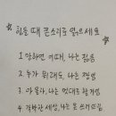 유림-26 이미지