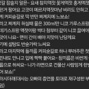 더쿠PC방 이미지