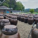 금남매