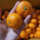 성훈농장 이미지