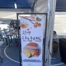 아쟁농장 | 경상도 축제 :: 김해 진영 단감 축제-김연자, 태진아, 양지원 공연 본 후기