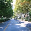 상록마을길 이미지