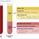 핏라이프피트니스 이미지
